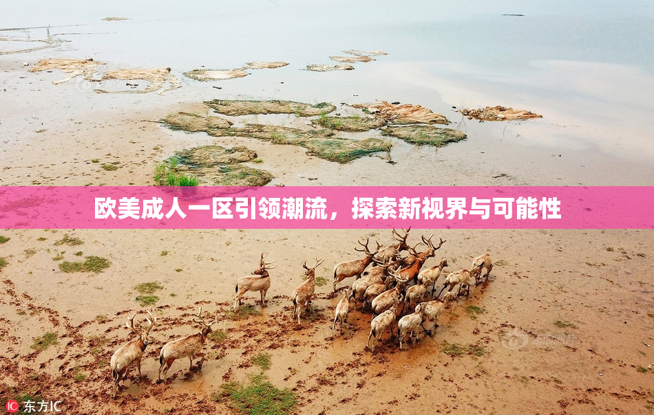 欧美成人一区引领潮流，探索新视界与可能性