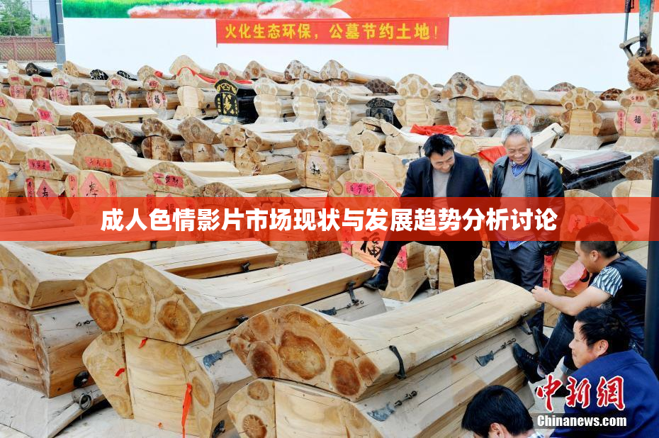 成人色情影片市场现状与发展趋势分析讨论