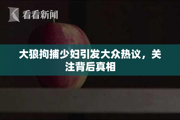 大狼拘捕少妇引发大众热议，关注背后真相