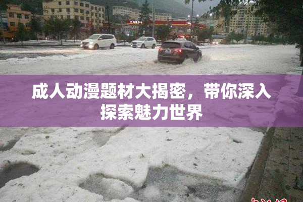 成人动漫题材大揭密，带你深入探索魅力世界
