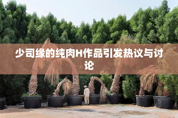 少司缘的纯肉H作品引发热议与讨论