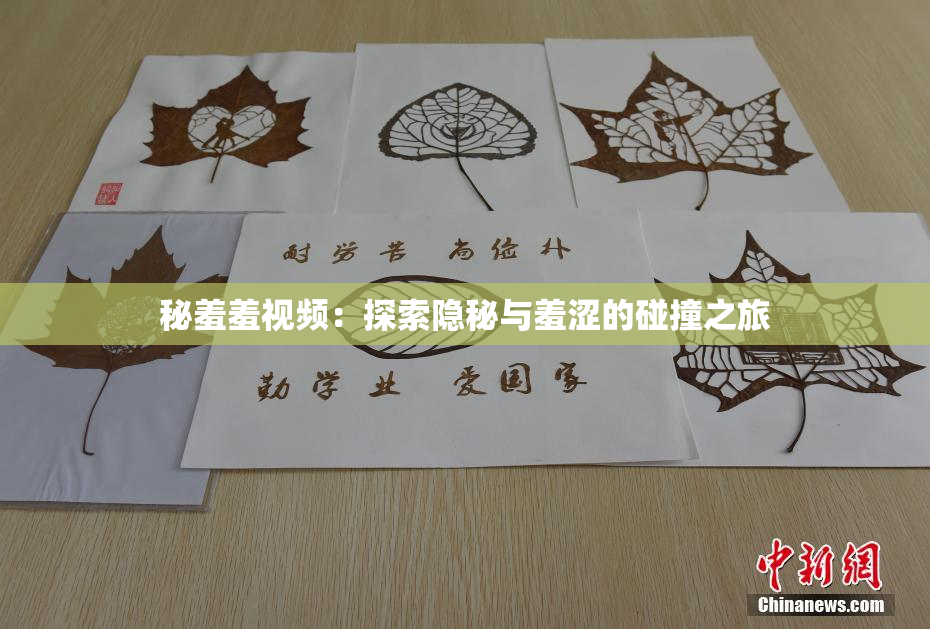 秘羞羞视频：探索隐秘与羞涩的碰撞之旅