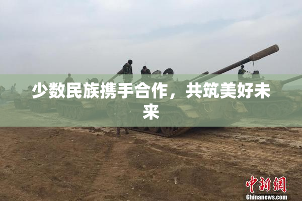 少数民族携手合作，共筑美好未来