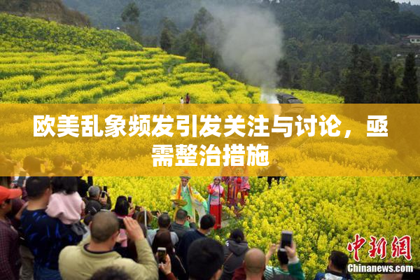 欧美乱象频发引发关注与讨论，亟需整治措施