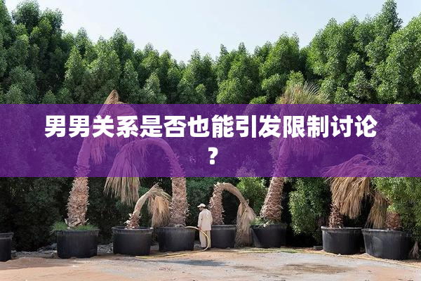 男男关系是否也能引发限制讨论？