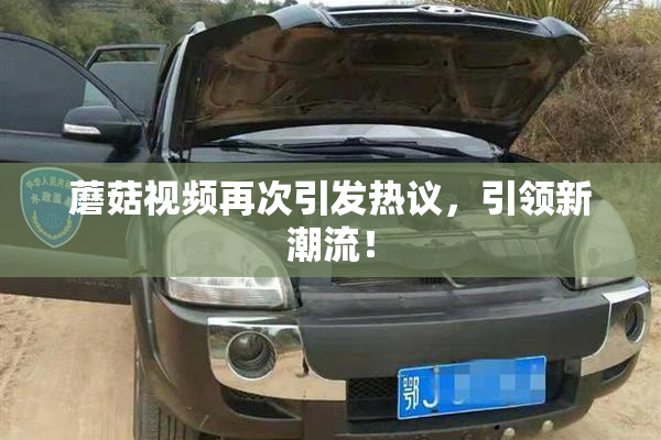 蘑菇视频再次引发热议，引领新潮流！