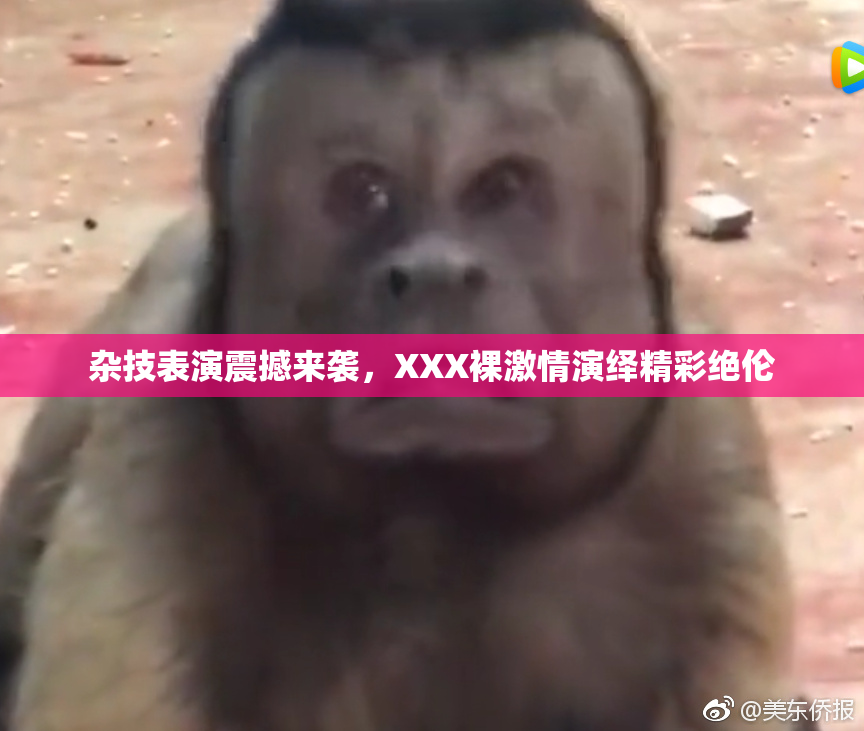杂技表演震撼来袭，XXX裸激情演绎精彩绝伦