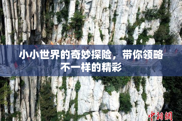 小小世界的奇妙探险，带你领略不一样的精彩