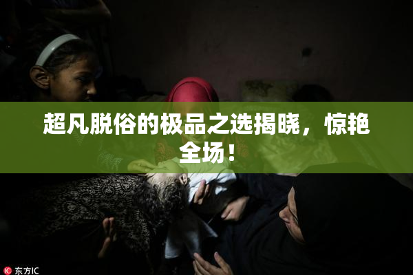 超凡脱俗的极品之选揭晓，惊艳全场！