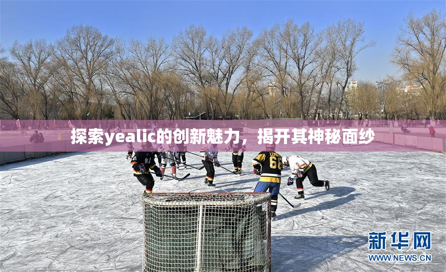 探索yealic的创新魅力，揭开其神秘面纱