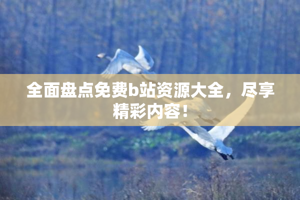 全面盘点免费b站资源大全，尽享精彩内容！