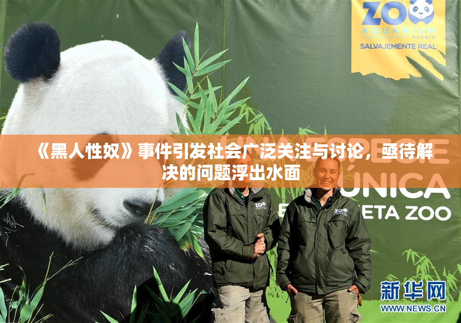 《黑人性奴》事件引发社会广泛关注与讨论，亟待解决的问题浮出水面