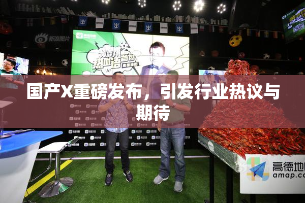 国产X重磅发布，引发行业热议与期待
