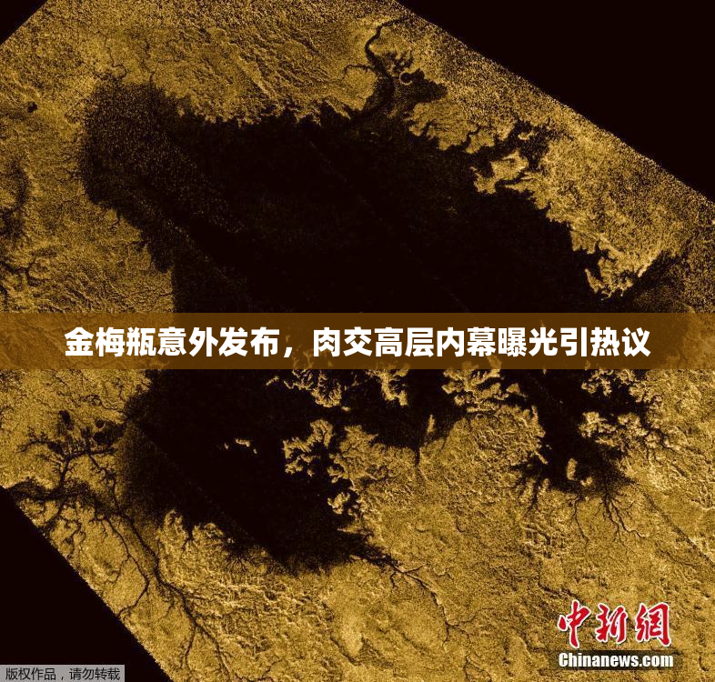 金梅瓶意外发布，肉交高层内幕曝光引热议