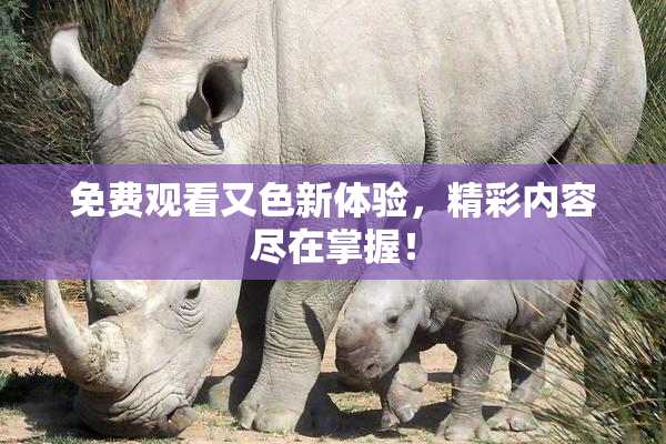 免费观看又色新体验，精彩内容尽在掌握！
