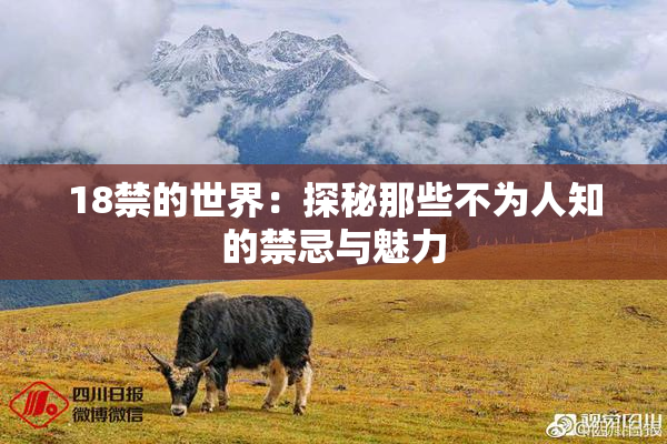 18禁的世界：探秘那些不为人知的禁忌与魅力