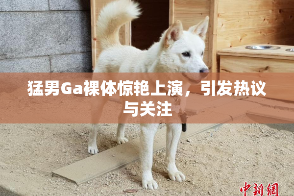 猛男Ga裸体惊艳上演，引发热议与关注
