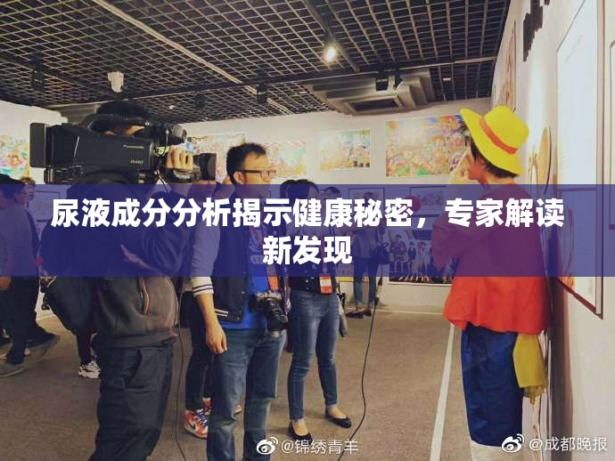 尿液成分分析揭示健康秘密，专家解读新发现