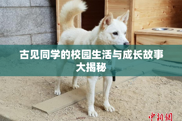 古见同学的校园生活与成长故事大揭秘