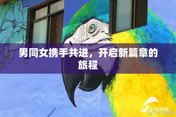 男同女携手共进，开启新篇章的旅程