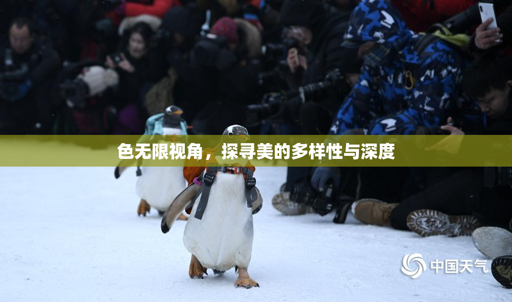 色无限视角，探寻美的多样性与深度