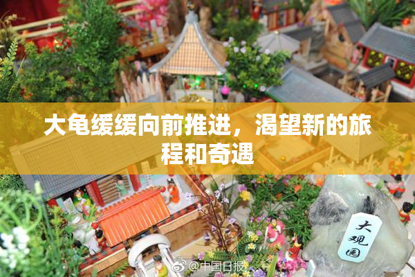 大龟缓缓向前推进，渴望新的旅程和奇遇