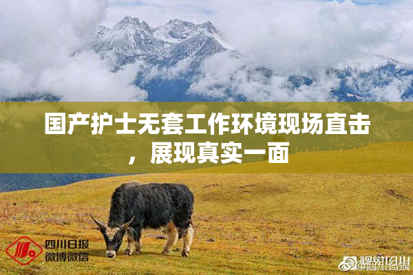 国产护士无套工作环境现场直击，展现真实一面