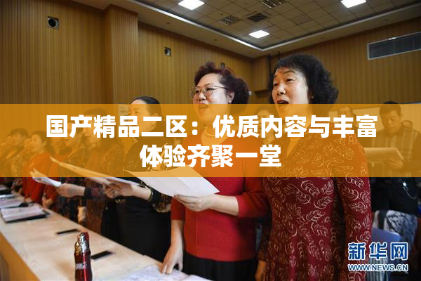 国产精品二区：优质内容与丰富体验齐聚一堂