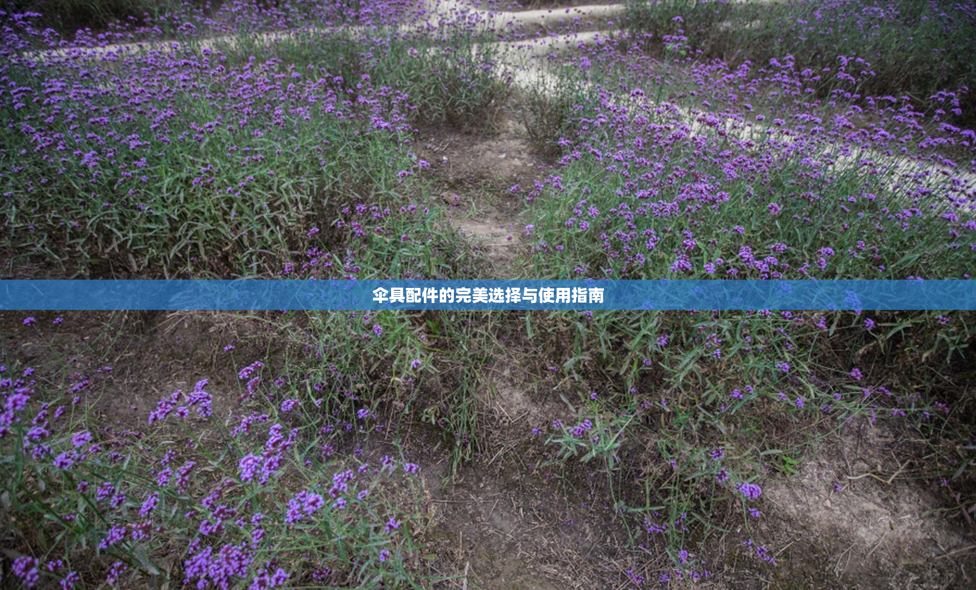 伞具配件的完美选择与使用指南