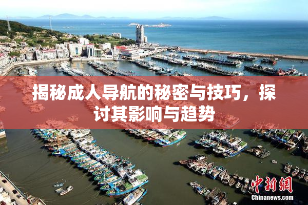 揭秘成人导航的秘密与技巧，探讨其影响与趋势