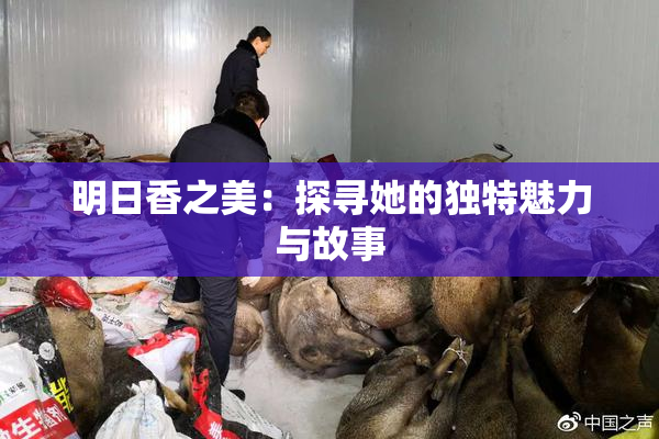 明日香之美：探寻她的独特魅力与故事