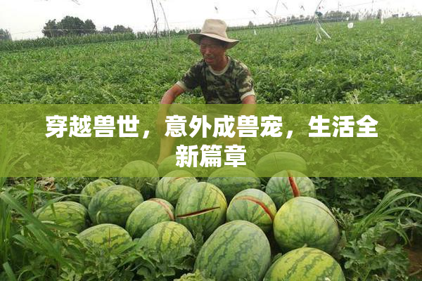 穿越兽世，意外成兽宠，生活全新篇章