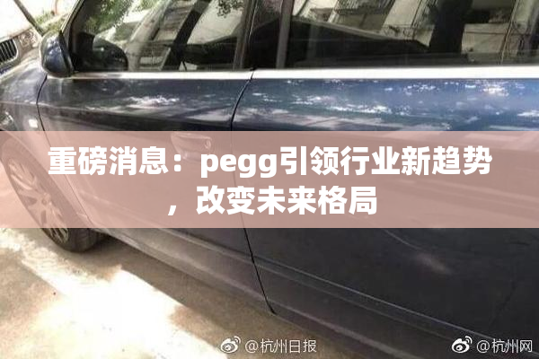 重磅消息：pegg引领行业新趋势，改变未来格局