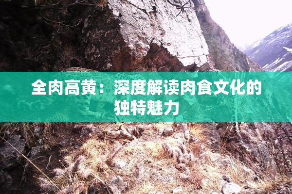 全肉高黄：深度解读肉食文化的独特魅力