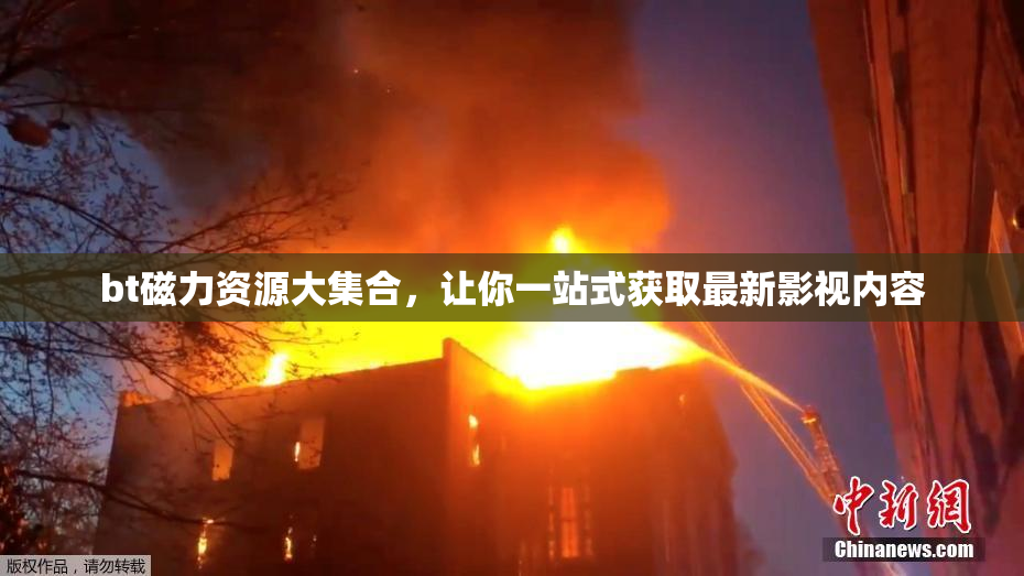 bt磁力资源大集合，让你一站式获取最新影视内容