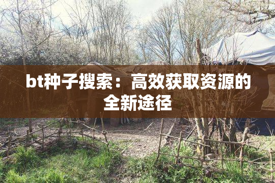 bt种子搜索：高效获取资源的全新途径