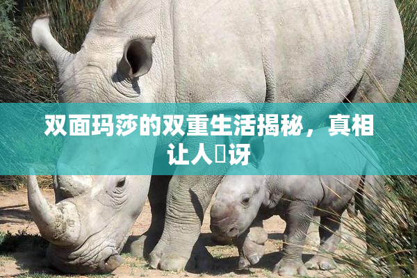 双面玛莎的双重生活揭秘，真相让人驚讶