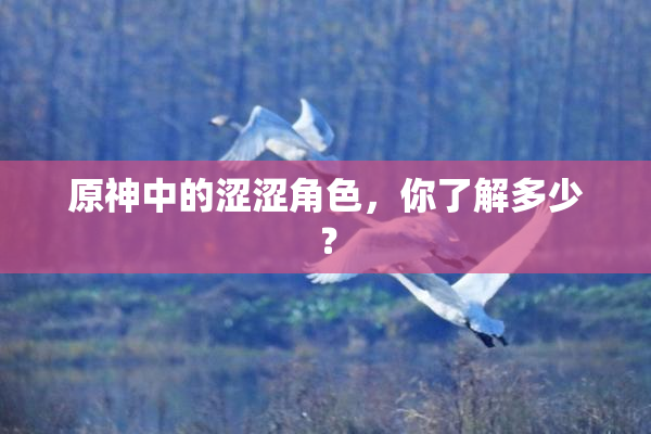 原神中的涩涩角色，你了解多少？