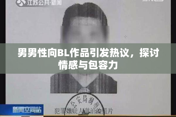 男男性向BL作品引发热议，探讨情感与包容力