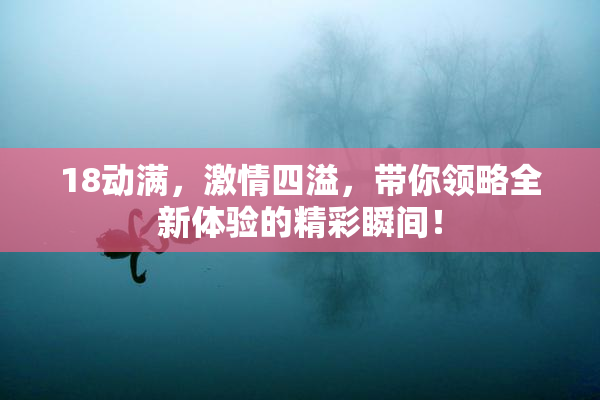 18动满，激情四溢，带你领略全新体验的精彩瞬间！