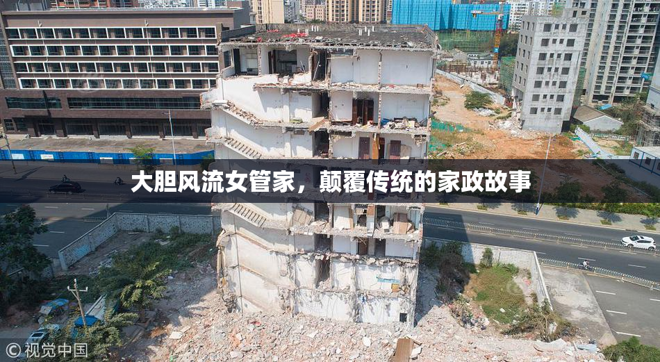 大胆风流女管家，颠覆传统的家政故事