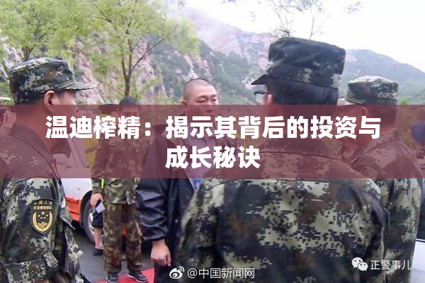 温迪榨精：揭示其背后的投资与成长秘诀