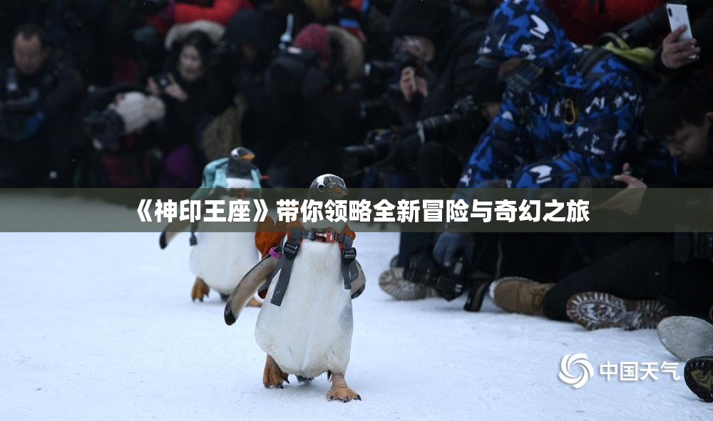 《神印王座》带你领略全新冒险与奇幻之旅