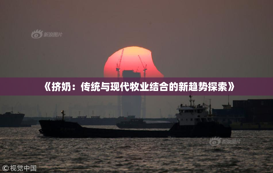 《挤奶：传统与现代牧业结合的新趋势探索》