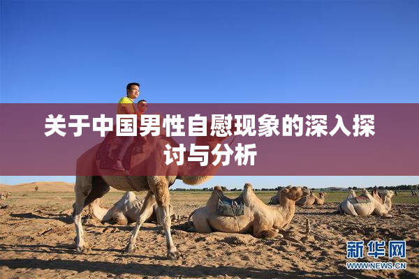 关于中国男性自慰现象的深入探讨与分析