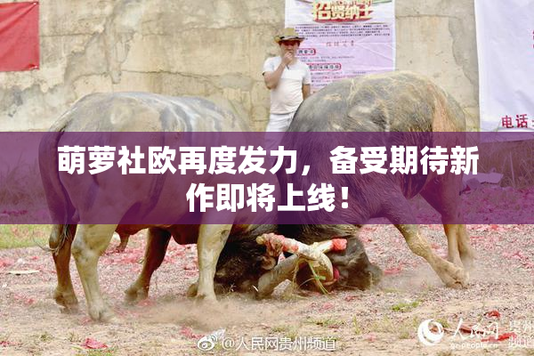萌萝社欧再度发力，备受期待新作即将上线！