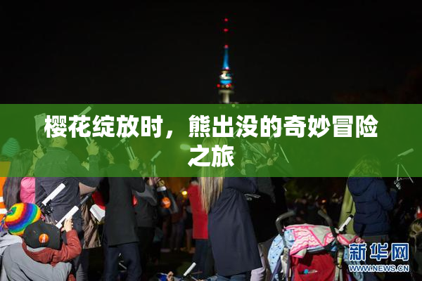 樱花绽放时，熊出没的奇妙冒险之旅