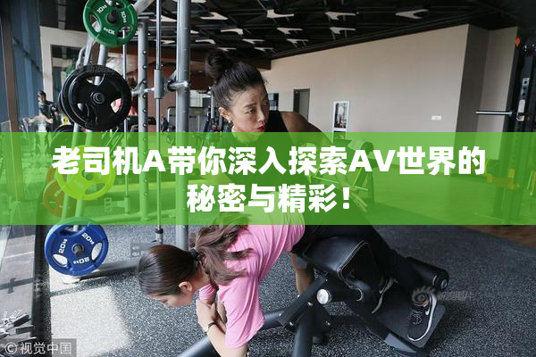 老司机A带你深入探索AV世界的秘密与精彩！