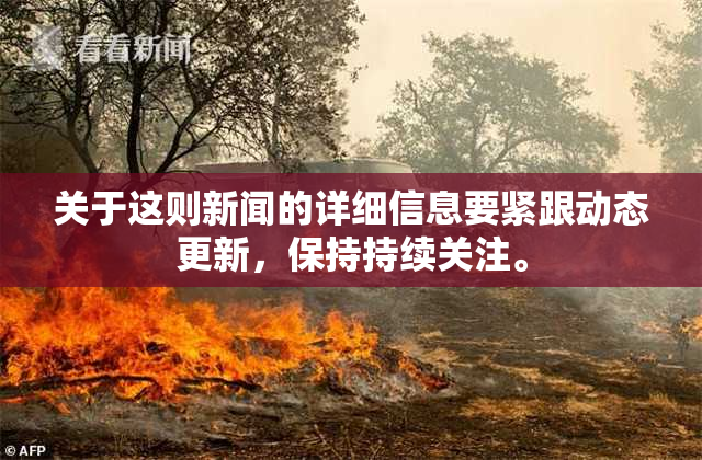 关于这则新闻的详细信息要紧跟动态更新，保持持续关注。