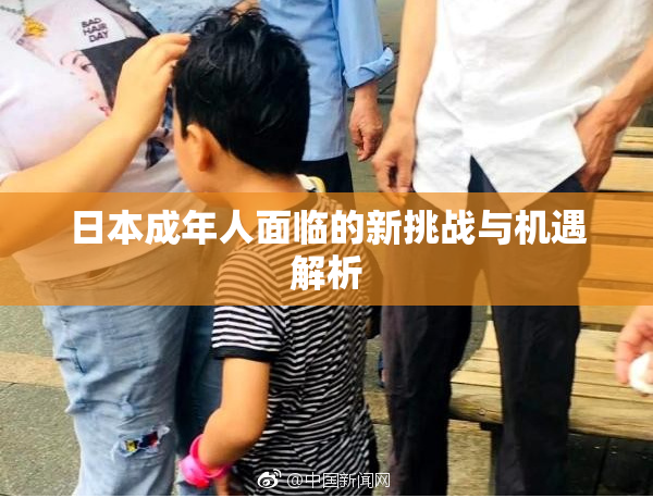 日本成年人面临的新挑战与机遇解析